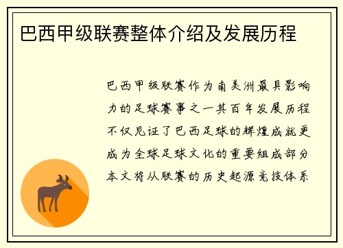 巴西甲级联赛整体介绍及发展历程